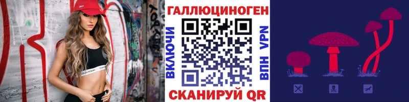 Псилоцибиновые грибы мухоморы  Купить где  Лесной 