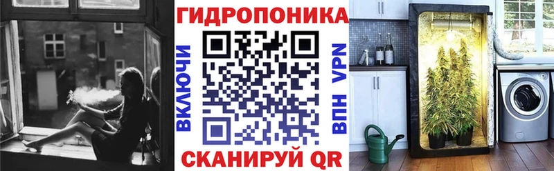 Бошки марихуана THC 21%  Купить  Лесной 